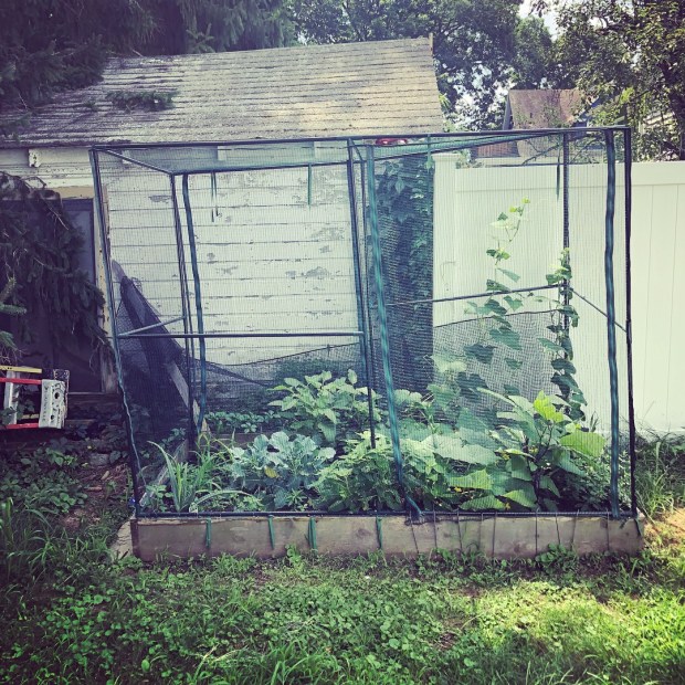 F2A57FC7-05BB-4D59-8A5D-6ED7A86FC38B